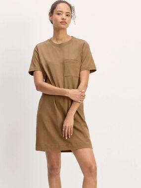 XS Everlane Organic Cotton Weekend Tee Shirt Dress Green Brown